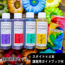 パレス化学 切花着色剤ファンタジー 自由研究セット レインボーフラワーを作ろう！ ファンタジー 着色 生花を染める 植物 染色 染色液 化学研究 科学 実験 手作り 押し花 ハーバリウム