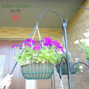 K[f|[p Ewp[ No.196 { Green Garden KD