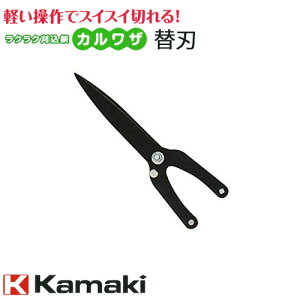 Kamaki J}L NN@NN JU֐n (No.570) No.520K { nT~ K[fjO  | K[f |pi | oT~   fB[X  