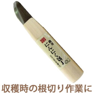 ɂɂ   53mm No.801 { gn ؂ n _ _ ƒ؉  ؂藎Ƃ OyD