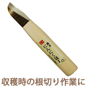 ɂɂ   53mm No.802 { gn ؂ n _ _ ƒ؉  ؂藎Ƃ OyD