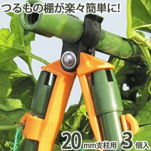 IbJ[ 3 20mmxp ƒ؉ I x bN | _ _  K[fjO    TD