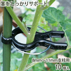 ~߃Nbv 8mm`11mmxp 10 x s Œ ƒ؉ ֗ | _ _ U  g}g LE cc K[fjO TD
