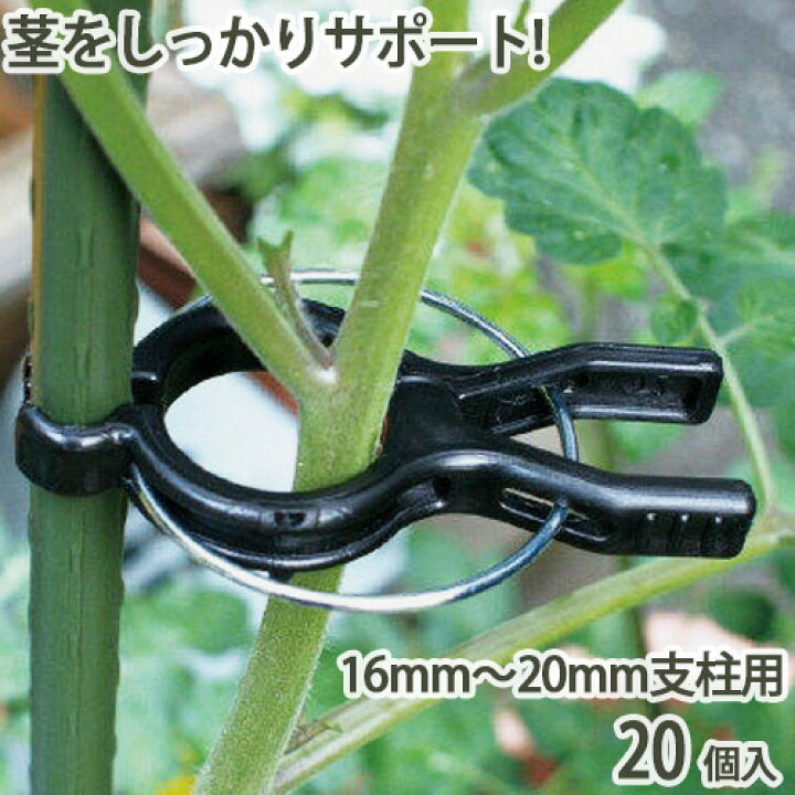 楽天市場 くき止めクリップ 16mm mm支柱用 個入 支柱 茎 固定 家庭菜園 便利 園芸 農業 農作業 誘引 野菜 トマト キュウリ 幼苗 ガーデニング 金td おしゃれ農作業着専門店エフィルス