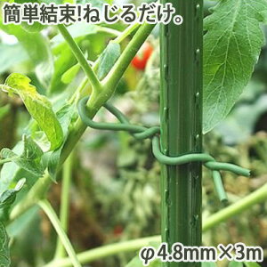 炩oh 4.8mm×3m ƒ؉ | K[fjO _ _ }  o U  x  ȒP 񂽂 TD