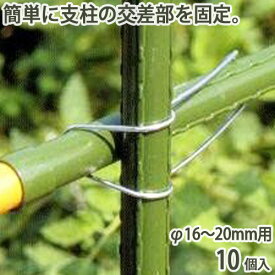 楽天市場 園芸 支柱 固定の通販
