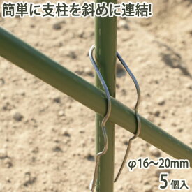 楽天市場 園芸 支柱 固定の通販