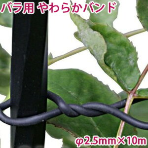 バラ 支柱の人気商品 通販 価格比較 価格 Com バラ 支柱の人気商品 通販 価格比較 価格 Com