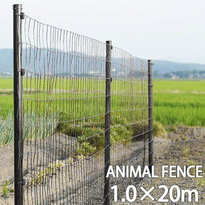 Aj}tFX 1.0×20m ubN tFXԂƎx11{̃Zbg  hbO  O   ƒ؉ ybg hbN VN