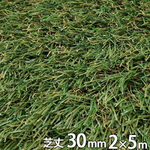 A lH  ŏ30mm 2m×5m VZC Ő}bg   x_ eX oRj[ K[fjO K[f G ΍ hbO VN