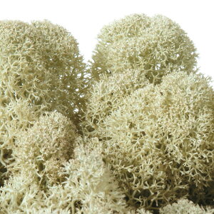 mfBbNX 50g 165-51820-91 FL820|910 i` ԍ | [X y x[X AW ޗ  K