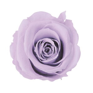 X^_[h[Y 6 FL0100|43 \tgCbN 165-51004-43 vU[uht[ o [Y KN u[P [X AW K