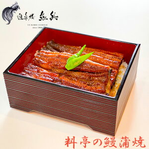 ̉V 1 330g VTO O Os Ȃ Y Ă Y Yn yY όn Mtg 蕨 j 