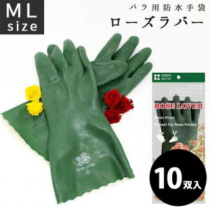 o gQ  10o [Yo[ GM-8 Ag g-style ATOM  fB[X K[fO[u K[fjO | o S Mq Y OyD