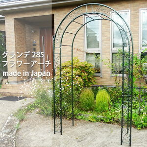 oA[` ؂ Of t[A[` No.285 { KNA[` K[fA[` L  K[fjO p[S |  t[AW [Y eBX v  