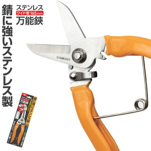 XeX \ 165mm SBC-165 Ch^ 񂽂El | K[f   ͂  _ _   o OyD