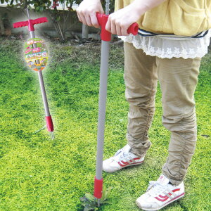 ~LRX {[C M-21 S93cm  G _ K[fjO ƒ؉ OyD