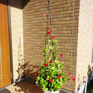 gsA[X^h  No.148 { GREENGARDEN O[K[f ы K[fjO |  x KD