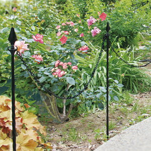 K[f`F[|[ H85cm `F[5m 1i tFX d؂ Ԏd؂  Ԓd Av[`  Nh~ K[ftFX K[fjO DAIM rj[ TD