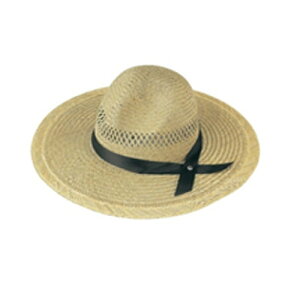 nbg 䑐O 152 { _ Xq K[fnbg IV 悯Xq _ fB[X p K[fjO TD