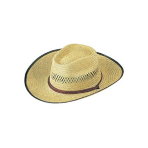 nbg 䑐J[{[C 157 _ Xq K[fnbg IV 悯Xq _ fB[X p K[fjO TD