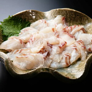 VR ΎY Α̂Ԃ ⓀO ^C  Mtg v[g Yn Αl