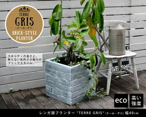 Kv^[ TERRE GRIS e[EO 40 Jo[ v^[ Jo[ K[fjO  KԒd  k i` AJ  x_ O su