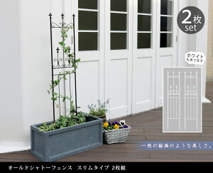 I[hVg[tFX X^Cv 2g tFX ACA K[ftFX K[fjO g  d؂ ډB  NVJ AeB[N gX x_  KN o 