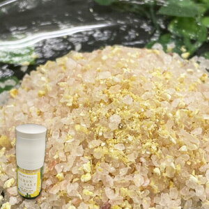 Natural Cibo @\g ~^Cv g   Y v[g Mtg  O 蕨 no