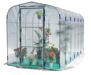 2 O[nEX NH-20D^ 2 rj[nEX hH TD