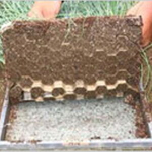 lg}[ 2 cp ~~ 300 277×577mm [ jbe lg}[II _ _ NvXCY