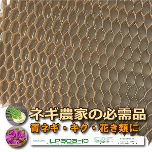 75 2 LP`F[|bg LP303-10 75ij10cm 264  y[p[|bg d ܂ c lM e Ԃ _ jbe _ vXCYK