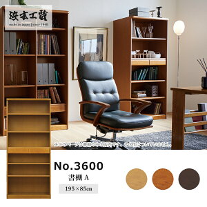 ���I�@3600�i�_�[�N�j�@3600A�iW85H�j