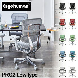 プロ2 EHP2-LAM オフィスチェア Ergohuman エルゴヒューマン 関家具 ランバーサポート メッシュ ロータイプ 肘付き アームレスト リクライニング 正規品 疲れない 人間工学 腰痛対策