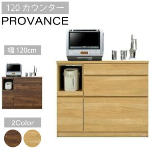 yr[ŃN[|izJE^[ voX 120cm XCh[ CX I XChI gfUC i`F uEF 킢