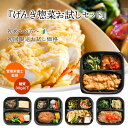 限定50枚300円OFF♪【初回特別価格・お一人様1回】『げんき惣菜お試しセット』 管理栄養士監修 糖質 30g以下 冷凍弁当 おかずのみ 冷凍おかずセット 手作り 和食 洋食 中華 おためし 冷凍おかず 温めるだけ ヘルシー 低糖質 レンジ お中元 夏ギフト