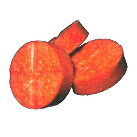 業務用殺鼠剤 レッドランソリッド 15錠