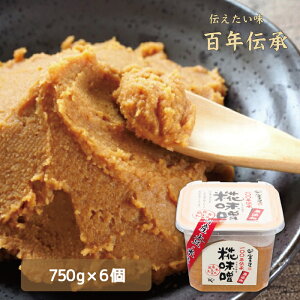yz100N` X 750g×6@󗈉@Y@Y@Ì