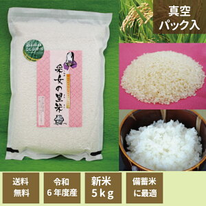 福島県産 コシヒカリの人気商品・通販・価格比較 - 価格.com 