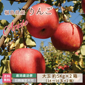 yYnzY Tӂ 10kg  (14`16ʓ×2i) *@@ʁ@Mtg@蕨@Ε