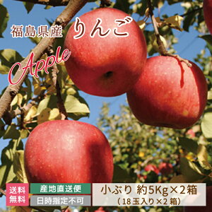 yYnzY Tӂ 10kg Ԃ (18ʓ×2i) *@@ʁ@Mtg@蕨@Ε