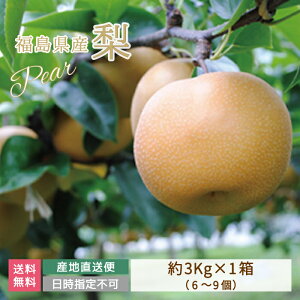 yYnzY  3kg (6`9)p Β *@蕨@K@L@쐅