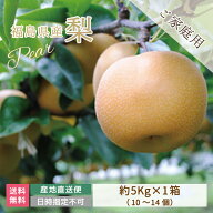 梨 5kg　家庭用　幸水　豊水　南水　あきづき　 (10～14個入) 和梨【産地直送】福島県鏡石町産