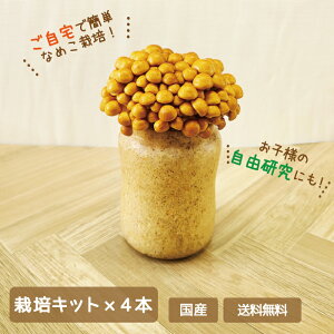 y4ZbgzȂ߂͔|Lbg×4{@Y@ƒ͔|ER@ (N[)