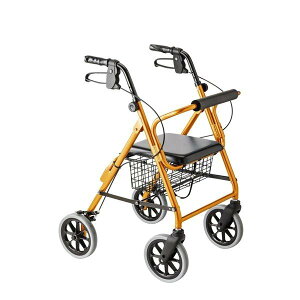 nbs[II NB sԁ^IW^bNi|Ձj117006