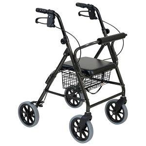 nbs[II g[^_[NO[^bN sԁi|Ձj117070