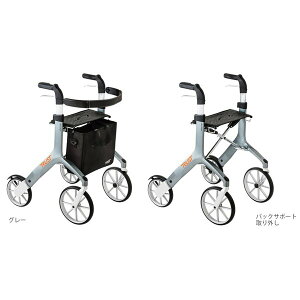 bctCisԁj^O[i|Ձj118100