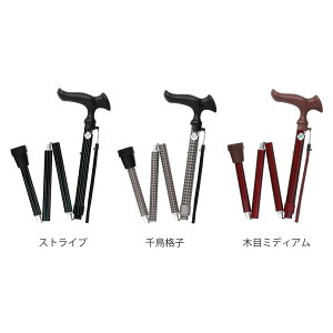 邪Ii܏Mj^璹iqitWz[j܂肽݃XebL