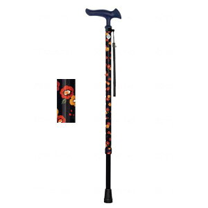 邪t@II^ԕlCr[itWz[jLkXebL WB5218