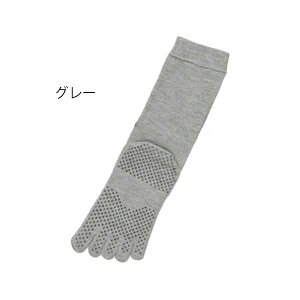 amp5{w~߃\bNX^O[i_ːNjNo.5505